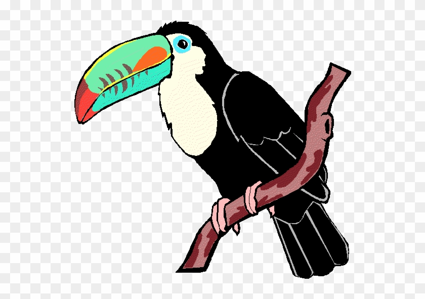 Toucan Clipart Rainforest Animal - Animal From Rainforest Clip Art #1098921