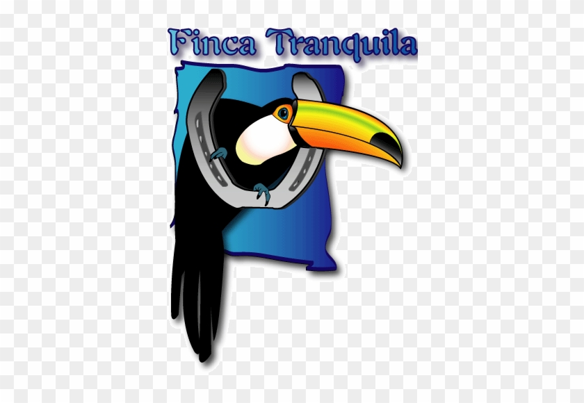   Toucan Clip Art #1098942