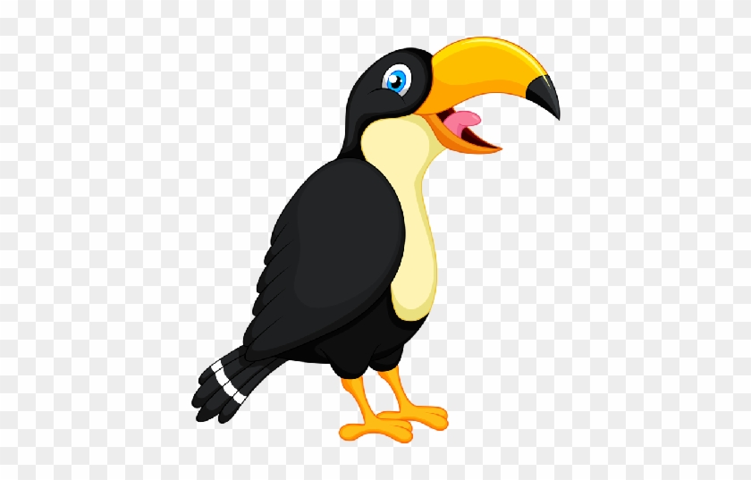 Toucan Parrot - Toucan #1098945