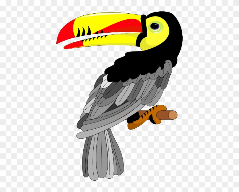 Toucan Bird Cartoon Clipart Free Clip Art Images - Clip Art #1098968