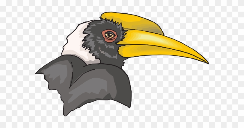 Hornbill Clipart Toucan - Hornbill Clipart #1099027