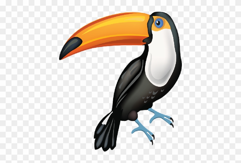 Toucan Parrot - Toucan #1099029