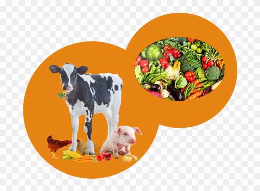 Crops And Livestock Clipart #1099059
