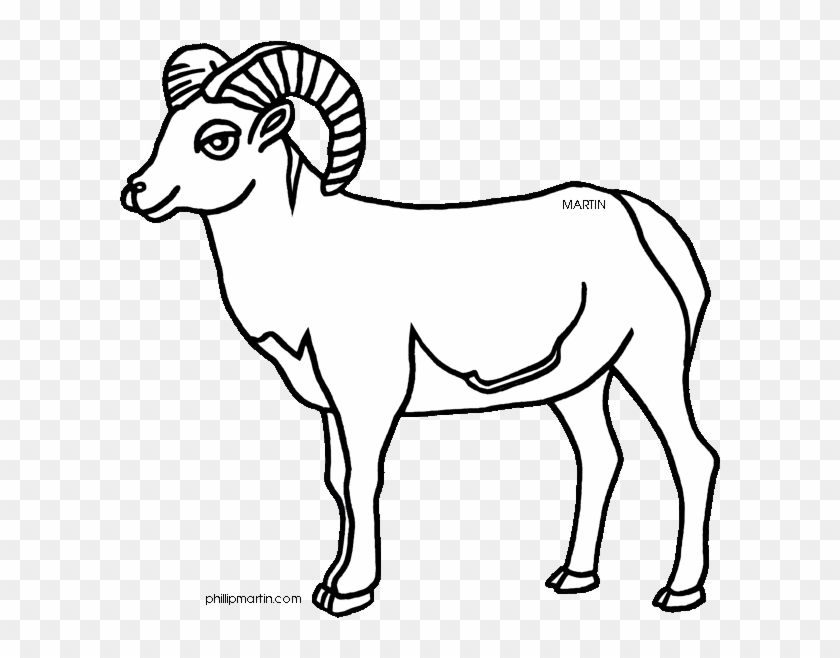 Bighorn Sheep Clipart Black And White - Desert Bighorn Sheep Drawing #1099132