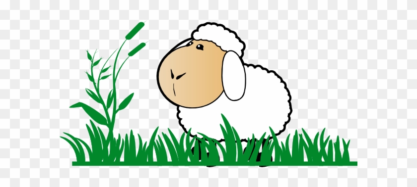 Sheep On Grass Cartoon #1099153