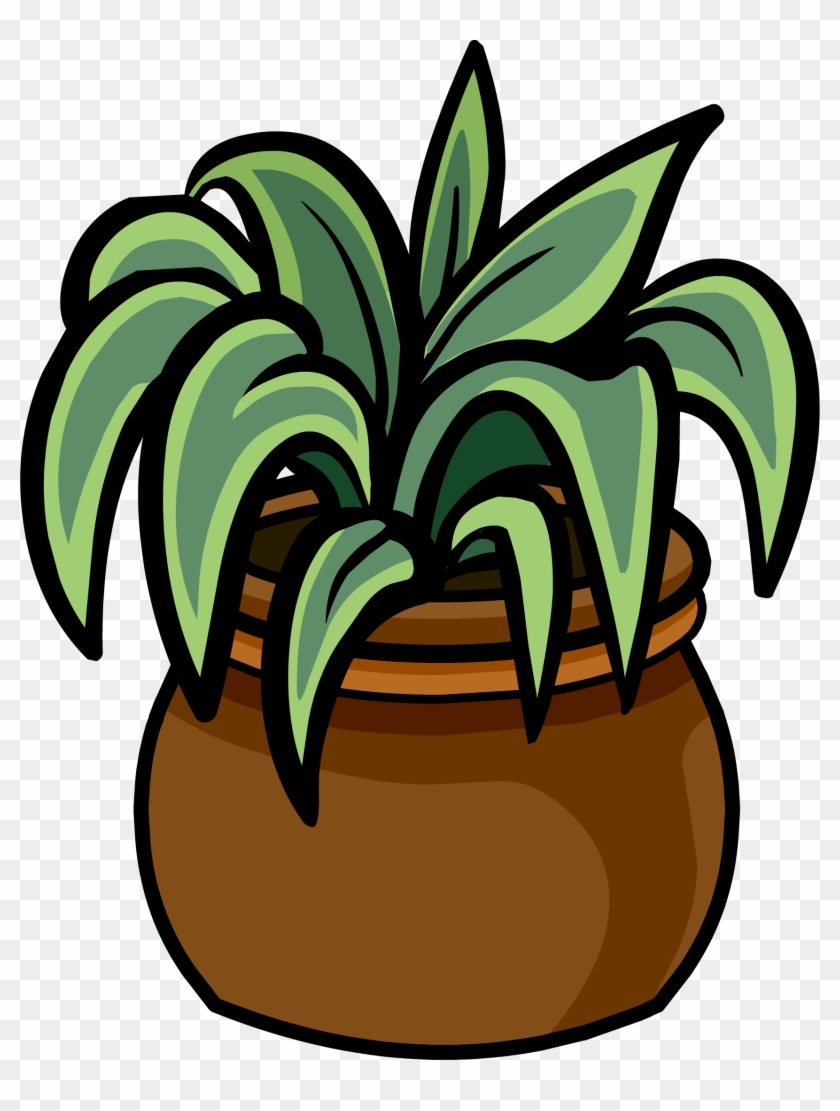 Evergreen Plant - Evergreen Plant #1099296