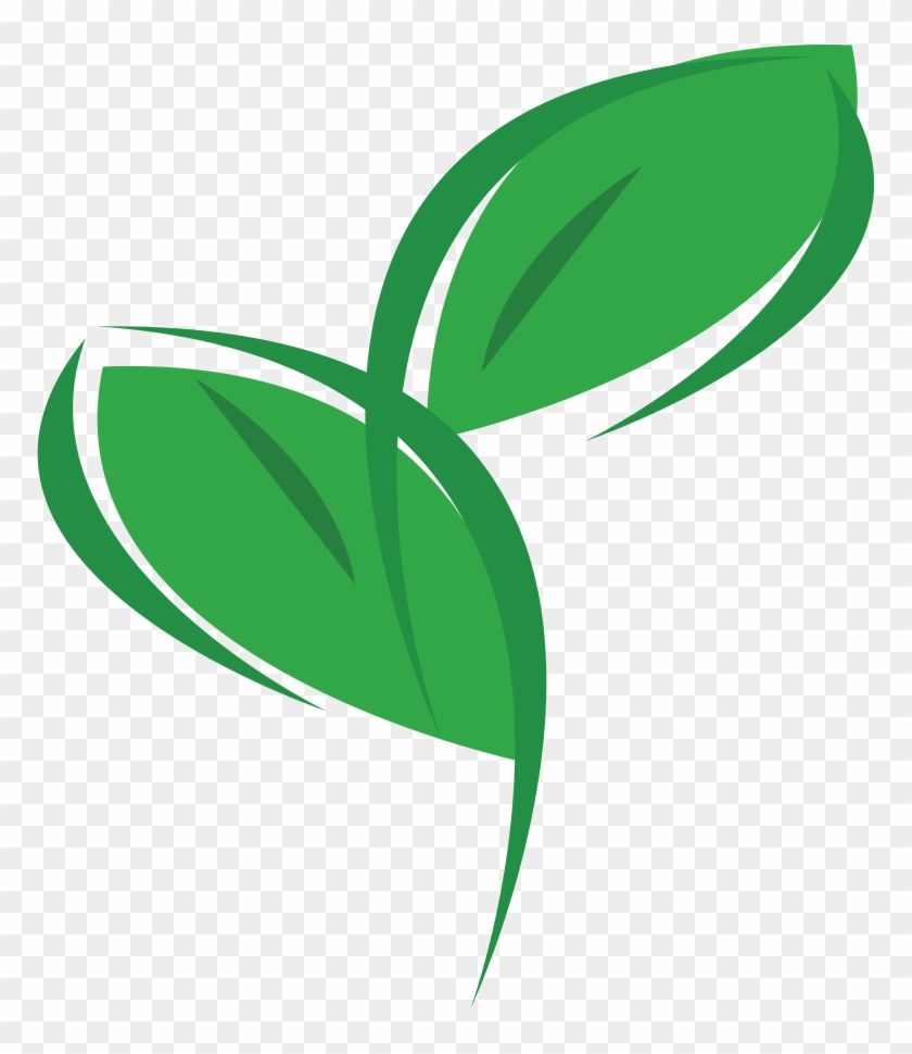 Eco Office Plants - Plants Logo Png #1099356