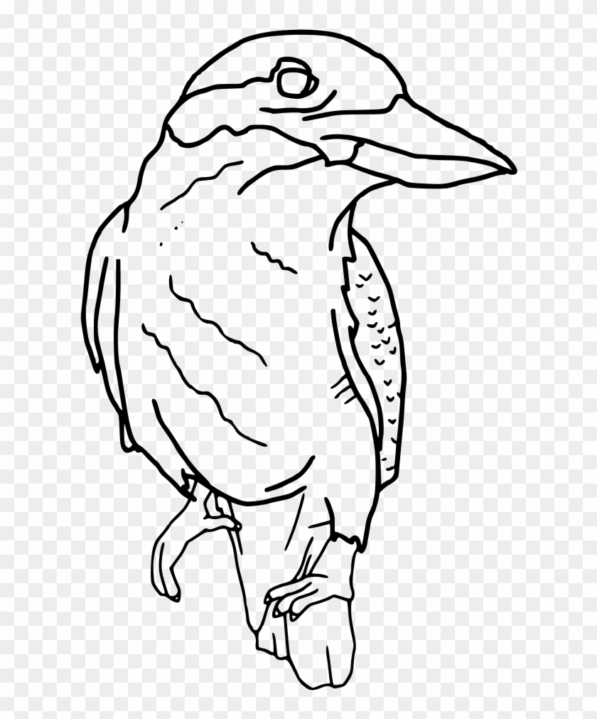 Clip Arts Related To - Kookaburra Black And White Clipart #1099434