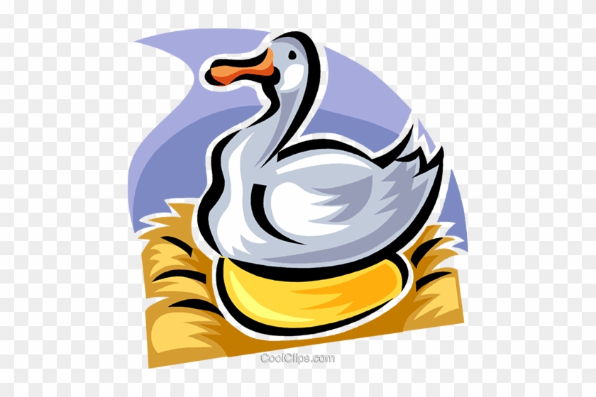 Cute Duck Cartoon Holding Golden Egg Royalty Free Cliparts - Goose That Laid The Golden #1099476