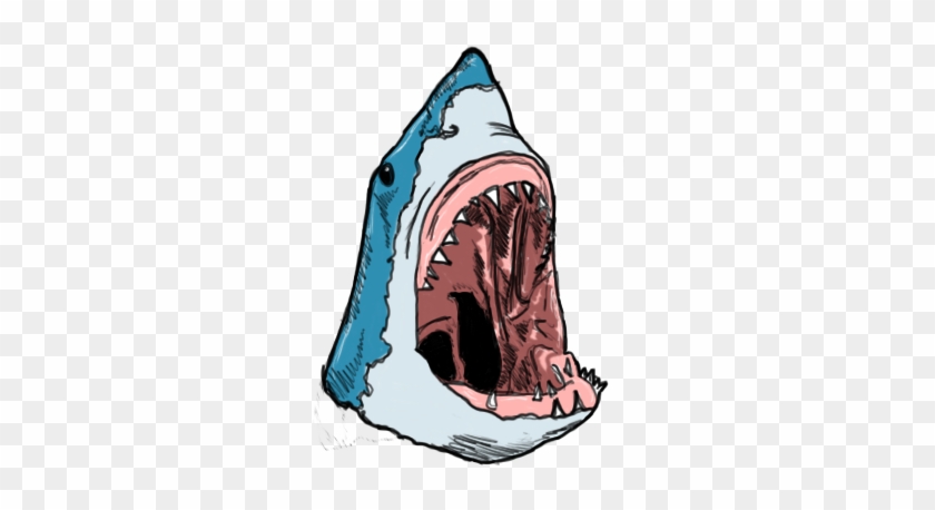 Shark Head - Shark - Free Transparent PNG Clipart Images Download