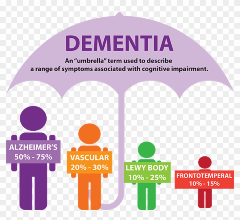 Difference Between Alzheimer's And Dementia #1099536