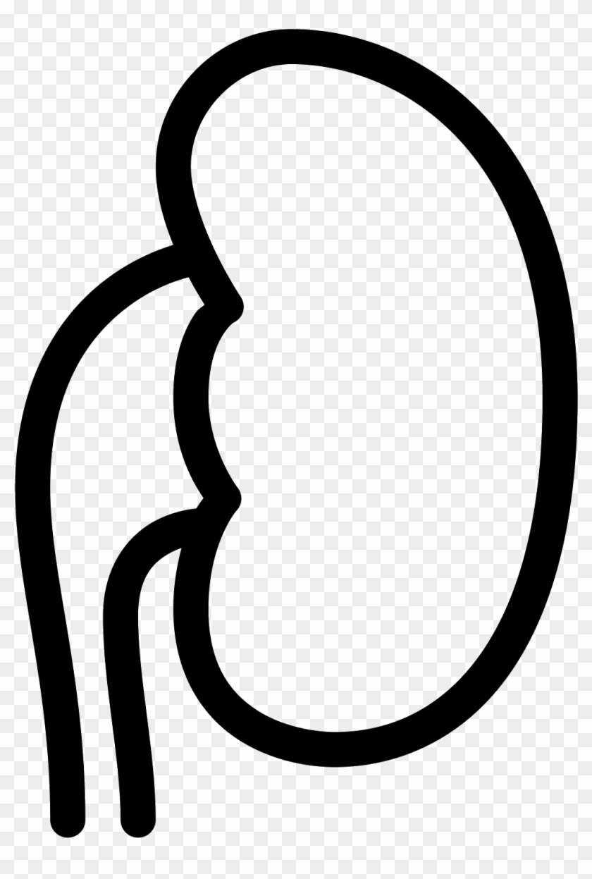 The Icon "kidney" Resembles In General Left Human Kidney - Icon Kidney #1099597