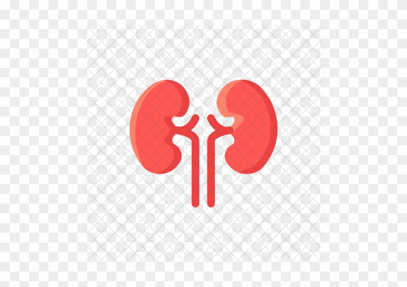 Kidney, Organ, Health, Medical, Renal, Kidnies Icon - Kidney Icon Red #1099601