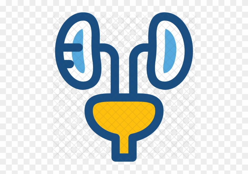 Kidneys Icon - Ha'il #1099606