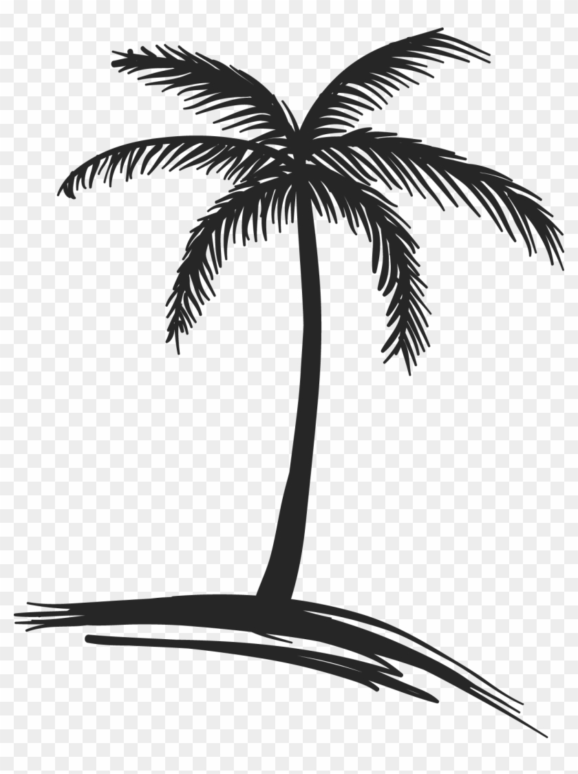 Coconut Tree Clipart - Realistic Palm Tree Clip Art PNG Image | Transparent  PNG Free Download on SeekPNG