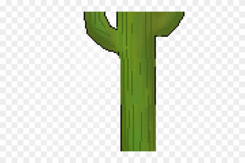 Cactus Clipart Arizona - San Pedro Cactus #1099790