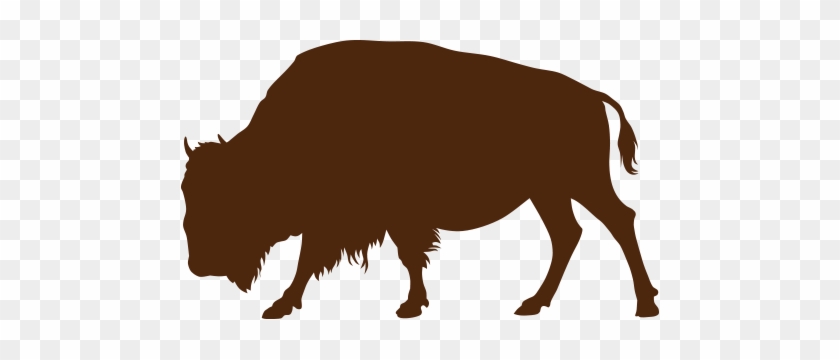 Adult Ticket - Buffalo Silhouette #1099944