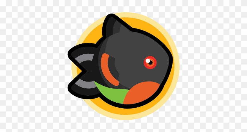 Piranha Pygocentrus Nattereri - Black Cat #1099963