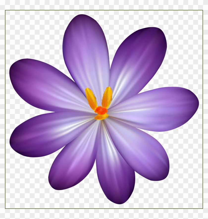 Incredible Purple Crocus Flower Png Clipart Image Gallery - Purple Flower Png #1100001