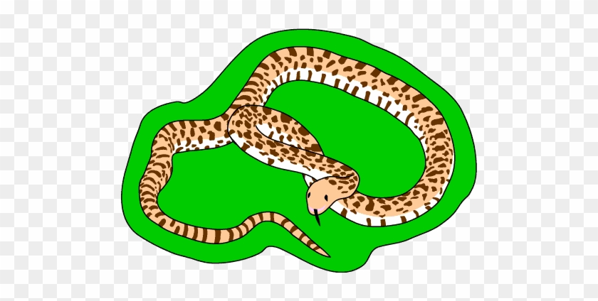 Serpent Clipart Teacher - Clip Art #1100008