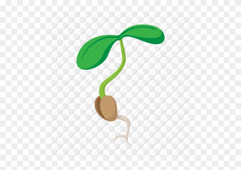 Free Nature Icons - Semilla Germinada Dibujo #1100069