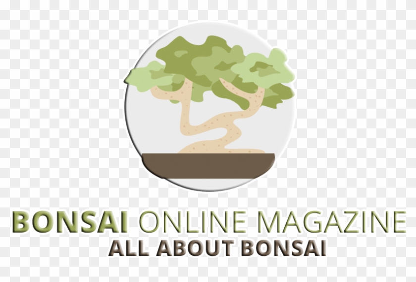 Bonsai Online Business Magazine - Oak #1100107