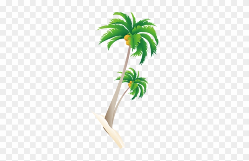 开放时间：上午10 - 30 11 - 30 下午：13 - 00 14 - - Free Palm Tree Vector #1100120