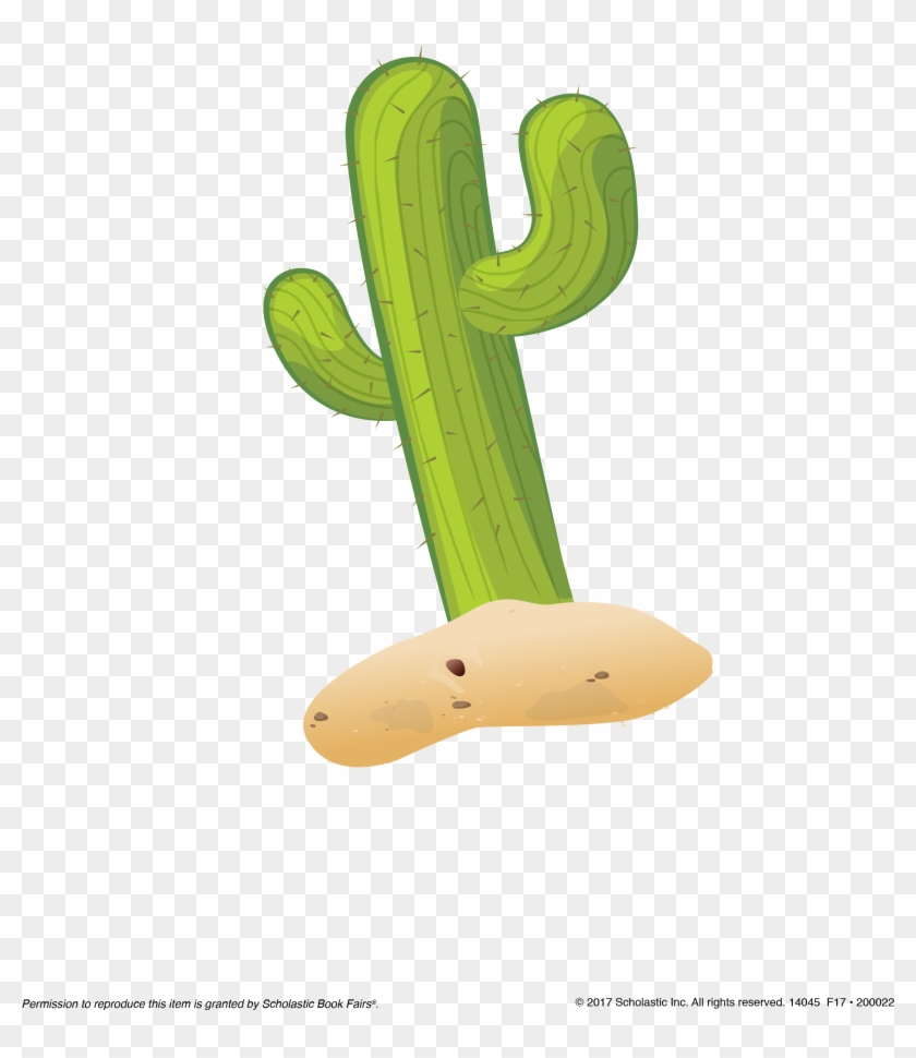 Cactus Image - San Pedro Cactus #1100185