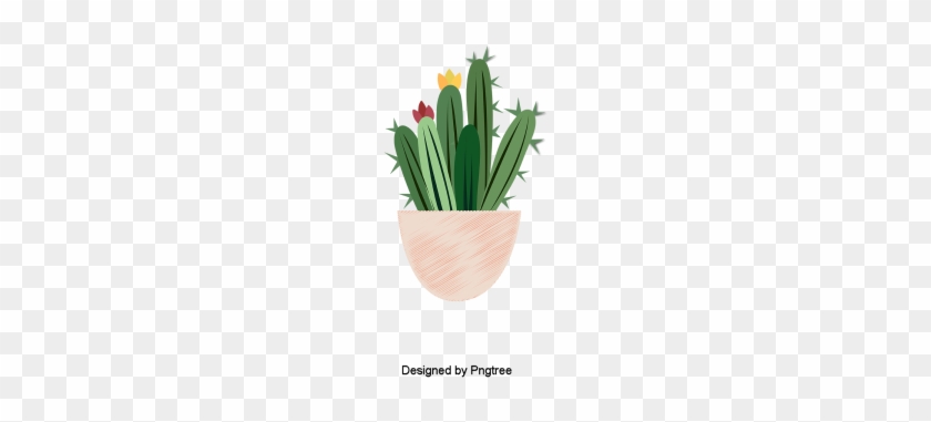 Hermosas Plantas De Dibujos Animados Lindo Pintados - Cactus #1100194