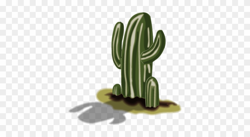 Vector Illustrations - - San Pedro Cactus #1100200