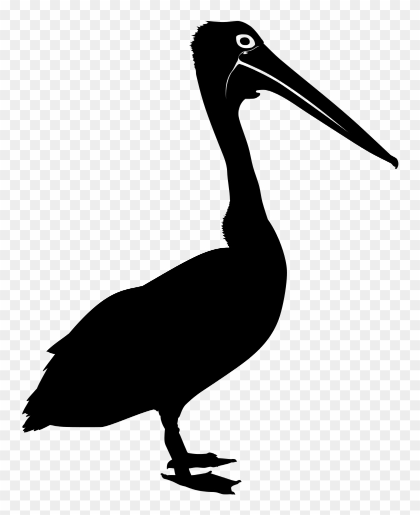 Fileaustralian Pelican Kioloa Silhouette Pelican Svg Free Transparent Png Clipart Images Download
