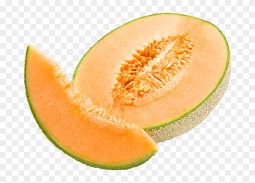 clipart cantaloupe