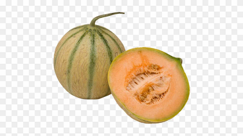 Cantaloupe Clipart Kharbuja - Difference Between Muskmelon And Cantaloupe #1100427