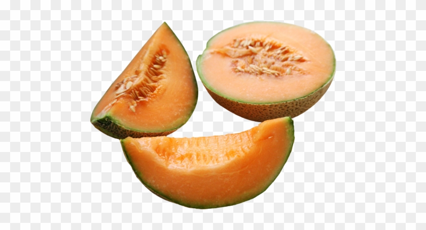 Cantaloupe Clipart Transparent - Cantaloupe #1100428