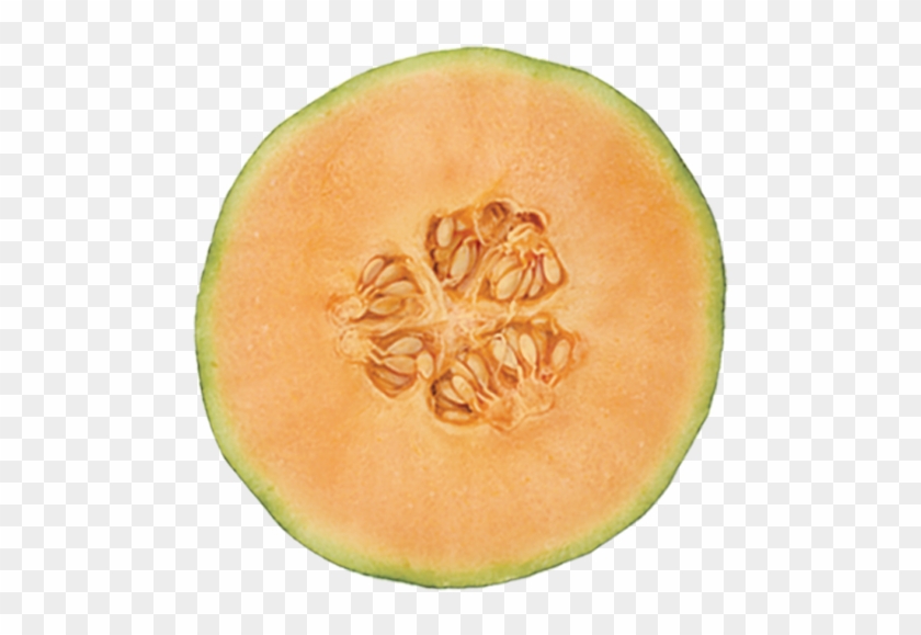 Honeydew Clipart Yellow Melon - Honeydew #1100436