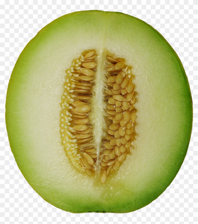 Gourd Clipart Winter Melon - Winter Melon Png #1100443