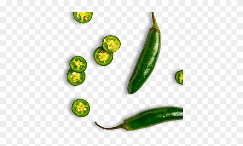 Proteins - Taco #1100568