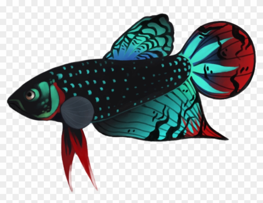 Holidays - Betta Fish Art Transparent #1100582