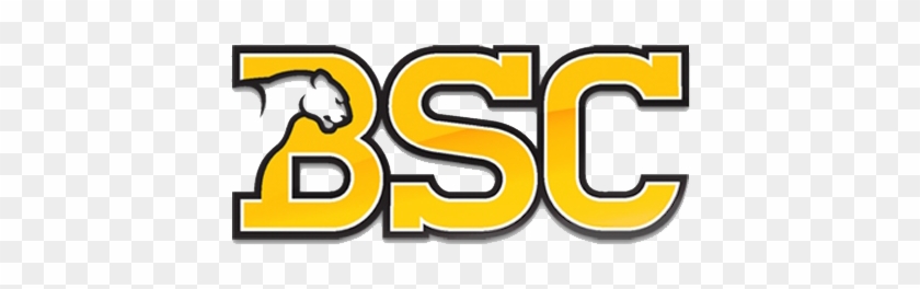 2017 Schedule, Stats & Latest News - Birmingham Southern College #1100736