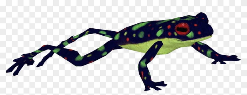Rainbow Toad - Frog #1100758