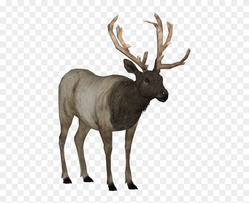 Zoo Tycoon Elk #1101059