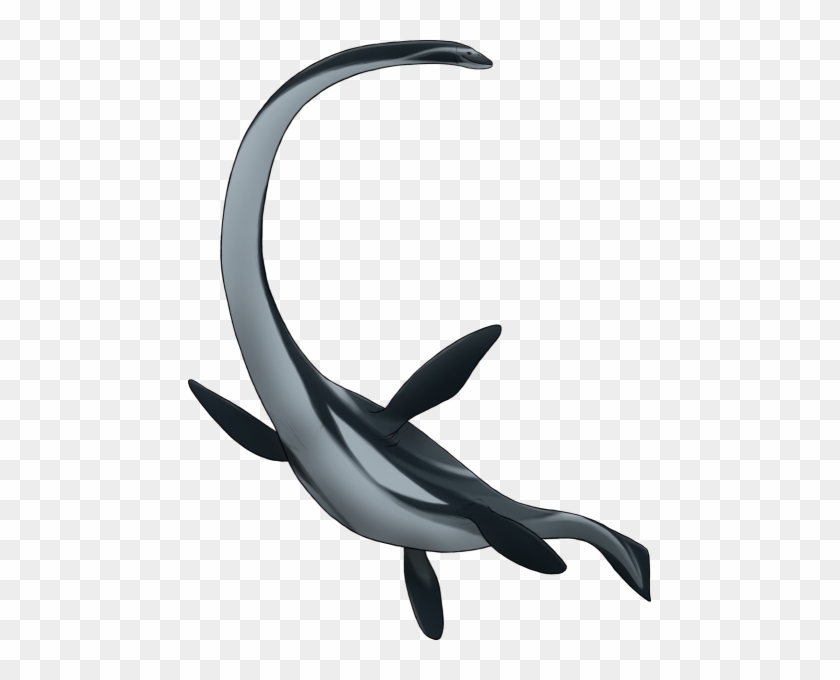 Plesiosaurs - Plésiosaure Png #1101097