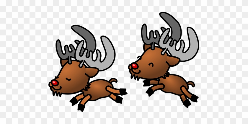 Karibu, Rentier, Hirsch, Tiere, Wild - Rudolph The Red Nosed Reindeer #1101160