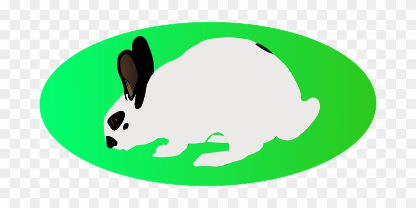 Easter, White Rabbit, Green Ellipse - Easter #1101378