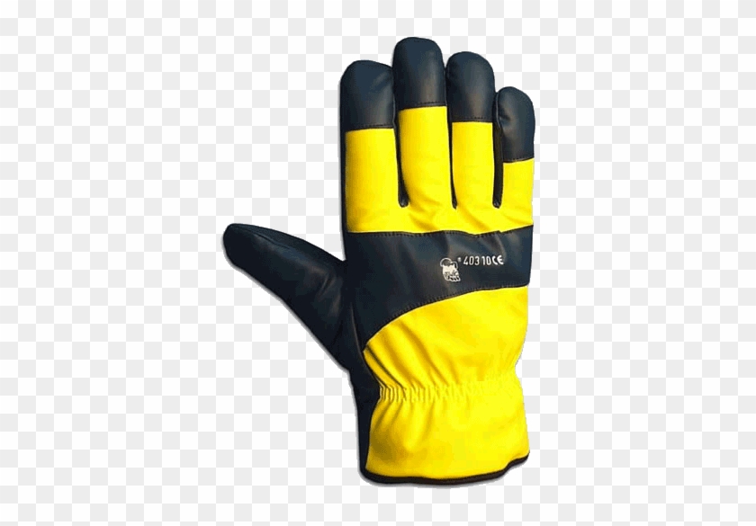 Hand #1101525
