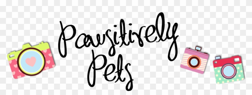 Pawsitively Pets Title Fun - Calligraphy #1101946