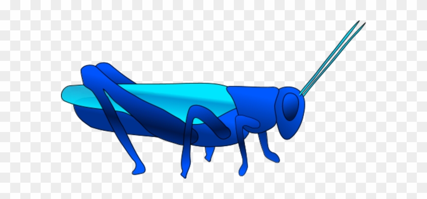 Grasshopper Insect Vector Clip Art - Animated Grasshopper Image Transparent Background #1102229