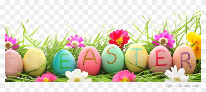 Easter Grass Eggs Png High-quality Image - Easter Grass Eggs Png High-quality Image #1102237