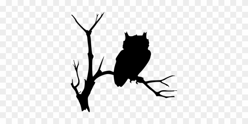Owl Silhouettes Black Tree Branches Sittin - Ad Maiorem Dei Gloriam #1102443