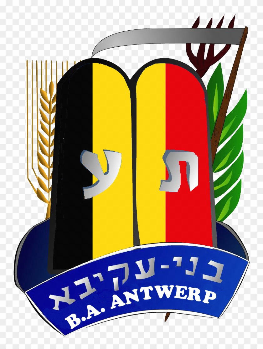 Benji Wajsberg Send Email - Bnei Akiva #1102699